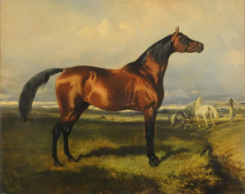 Alfred de Dreux, Horses in freedom
