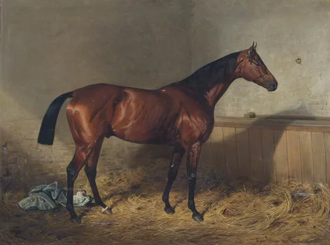 Emil Adam, Melton, a Bay Racehorse, in a Stable