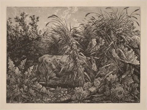 Carl Wilhelm Kolbe, The Cow in the Swamp