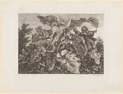 Carl Wilhelm Kolbe, Plant Study with Burdock