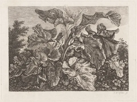 Carl Wilhelm Kolbe, Plant Study with Burdock