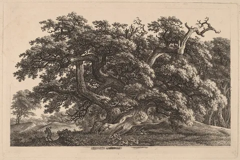 Carl Wilhelm Kolbe, A Widely Expanding Oak Tree