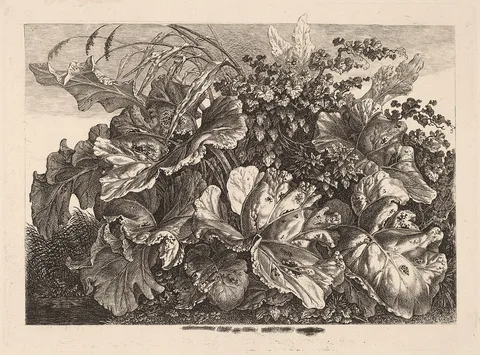 Carl Wilhelm Kolbe, Foliage Study with Reed and Hops