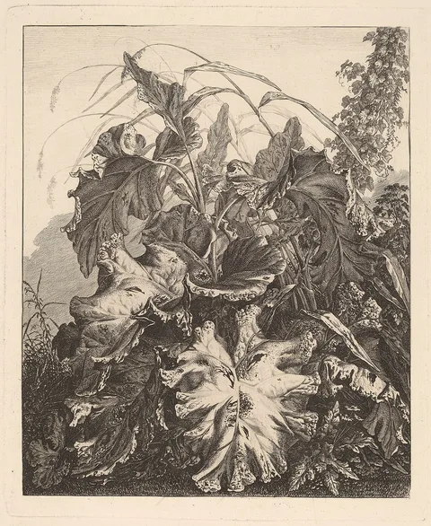 Carl Wilhelm Kolbe, Foliage with Reeds