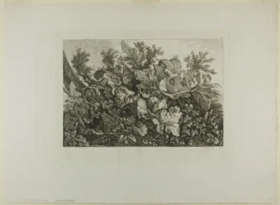 Carl Wilhelm Kolbe, Swamp Plants