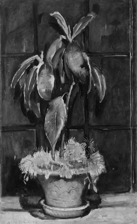 Anne Goldthwaite, A Window at Night