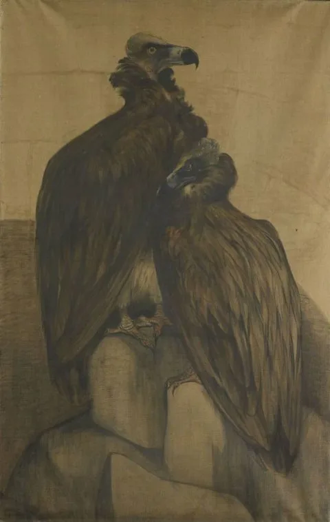 Theo van Hoytema, Two Arabian Vultures