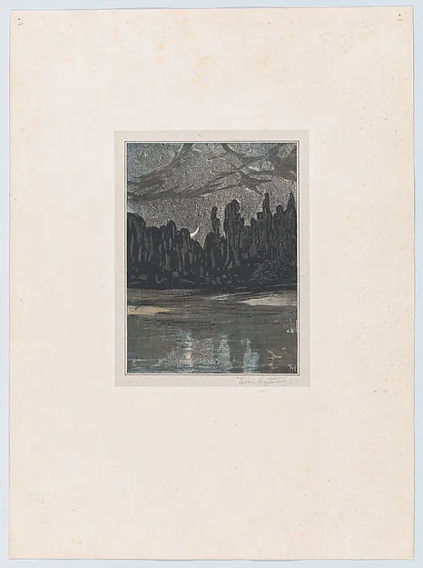 Theo van Hoytema, Migratory Birds on a Moonlit Night
