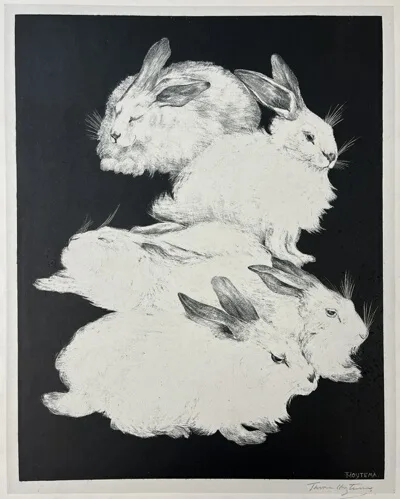 Theo van Hoytema, Angora Rabbits, plate two from Animal Studies