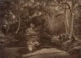 John William Lindt, Ka Kalo Creek, Papua New Guinea, 1885