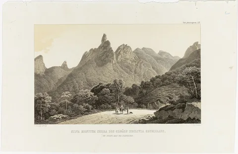 Friedrich Hohe, Silva Montium Serra dos Orgâos Declivia Obumbrans in Prov. Rio de Janeiro