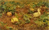 Francesco Vinea, Vegetable Patch with a Duck