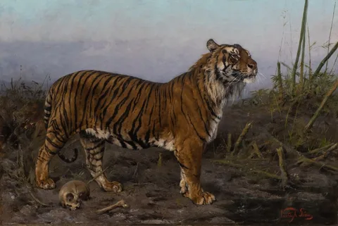 Géza Vastagh, Royal Tiger