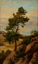 Henryk Grabiński, Stone Pine
