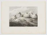 Samuel Howitt, Three Sheep