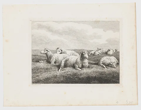 Samuel Howitt, Sheep