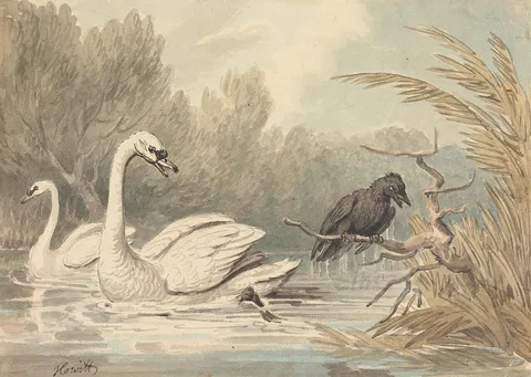 Samuel Howitt, A Raven and Two Swans