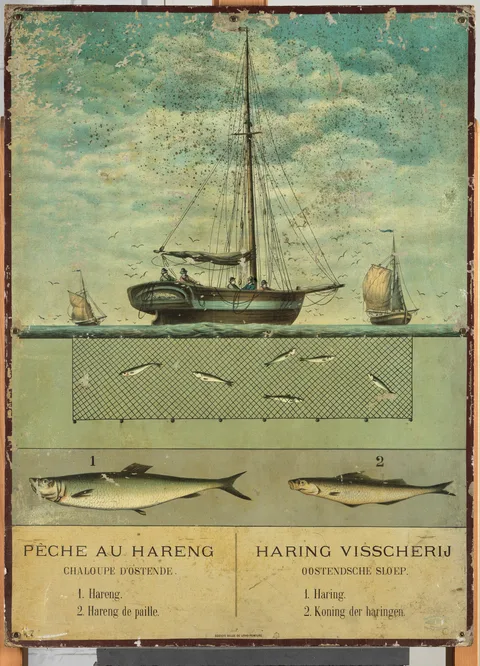 Auguste Musin, Lithograph ' Pêche au hareng / Haring Visscherij'