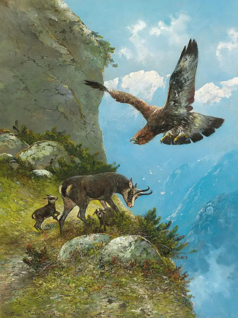 Moritz Müller, Chamois and Golden Eagle