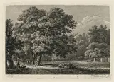Philipp Veith, Grove of Trees by the Fish House, near Dresden