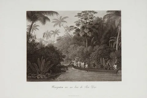 Philipp Veith, Navigation sur un bras du Rio Doce