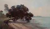 Clas Edvard Friström, Manly Beach, Brisbane