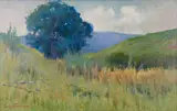 Clas Edvard Friström, Piha Valley