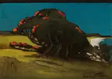 Clas Edvard Friström, Pohutukawa