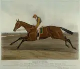 John Harris, 'Blue Bonnet', Winner of the Great St. Leger Stakes at Doncaster, 1842