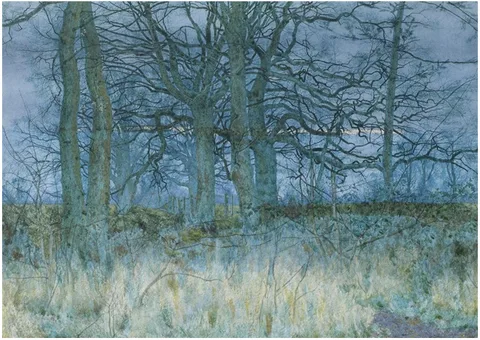 William Fraser Garden, Trees in winter - fraser garden