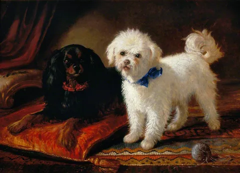 Joseph Denovan Adam, Two Dogs
