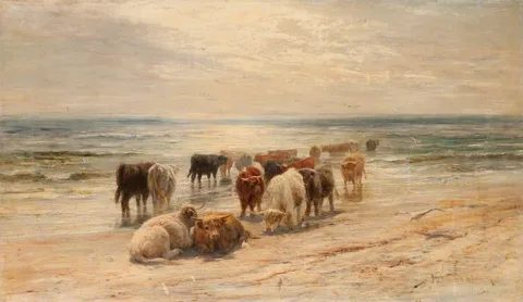 Joseph Denovan Adam, Highland Cattle