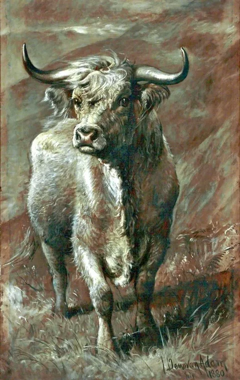 Joseph Denovan Adam, Highland Bull
