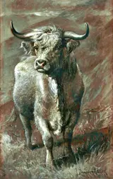 Joseph Denovan Adam, Highland Bull