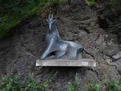 Vincenc Vingler, Billy Goat in Prague Zoo