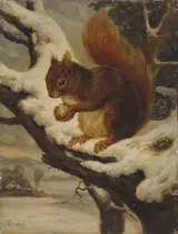 Basil Bradley, A Red Squirrel Eating a Nut