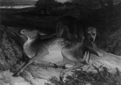 Edwin Henry Landseer, Wounded Stag and Dog