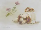 Maud Earl, Surely, Surely, Slumber is more sweet than Toil