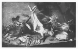 Pier Francesco Cittadini, Still life with.a hare