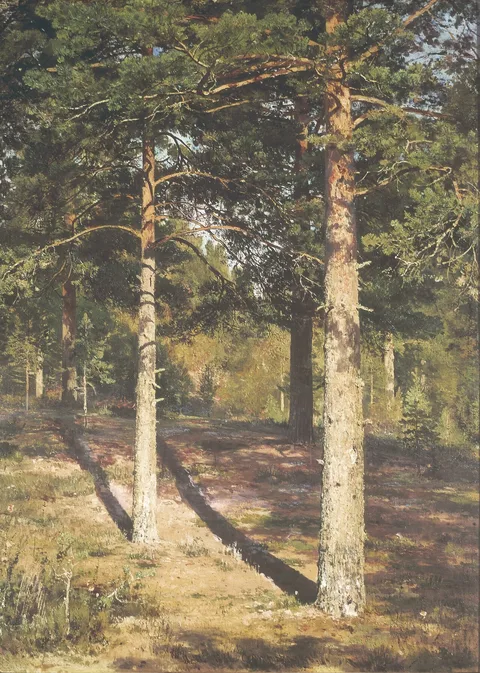 Ivan Shishkin, The Sun Lit Pines