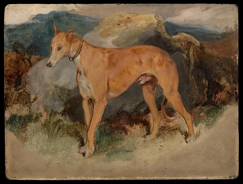 Edwin Landseer, A Deerhound
