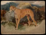 Edwin Landseer, A Deerhound