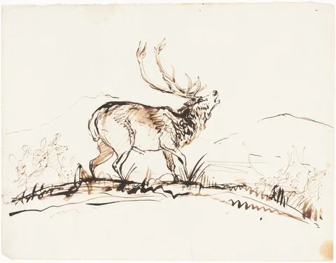 Edwin Landseer, A Bellowing Stag