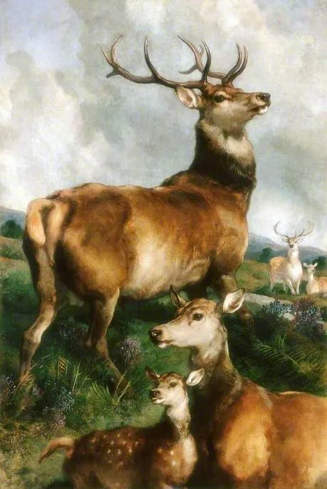 Edwin Landseer, Deer of Chillingham Park, Northumberland