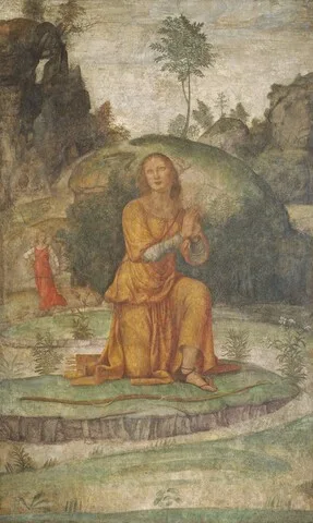 Bernardino Luini, Procris' Prayer to Diana