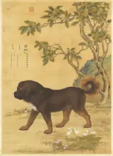Giuseppe Castiglione, Ten Prized Dogs