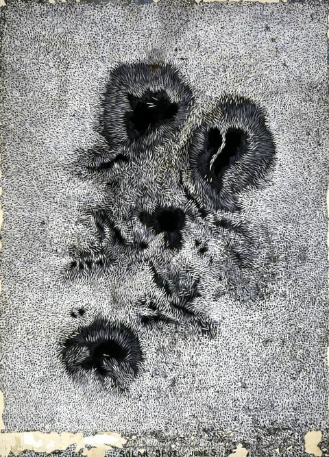 James Nasmyth, Solar Spot