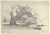 Willem Roelofs, Landscape with Trees near a Pond
