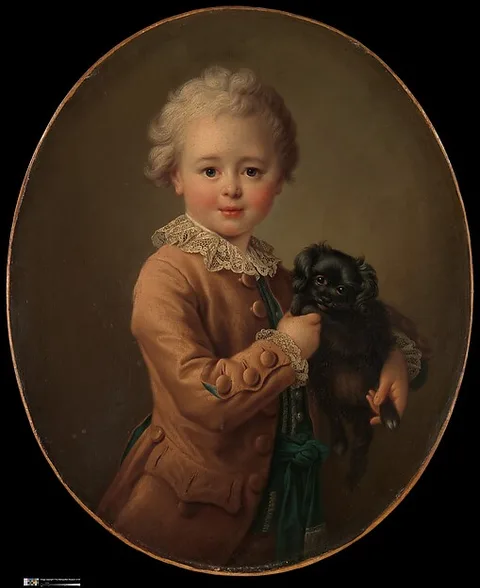 François-Hubert Drouais, Boy with a Black Spaniel
