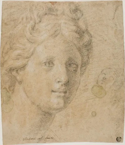 Antonio Balestra, Head of a Woman